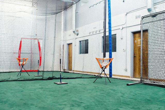 whiffle-net.jpeg